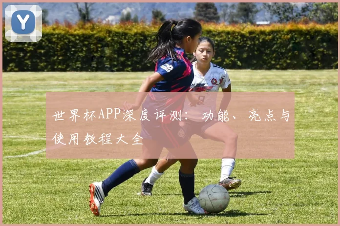 世界杯APP深度评测：功能、亮点与使用教程大全